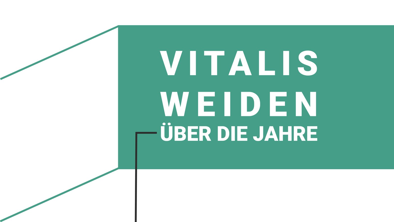 zeitstrahl-vitalis-weiden1